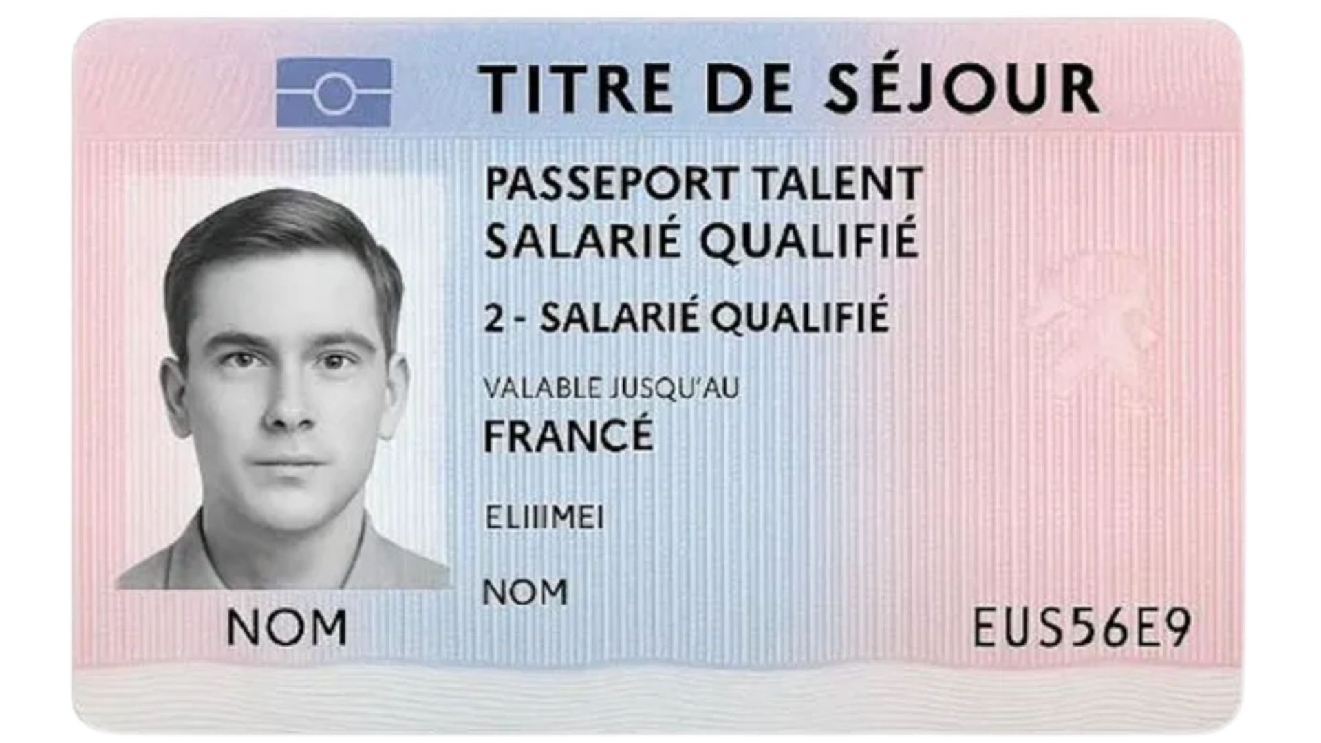 Passeport Talent Vizesi